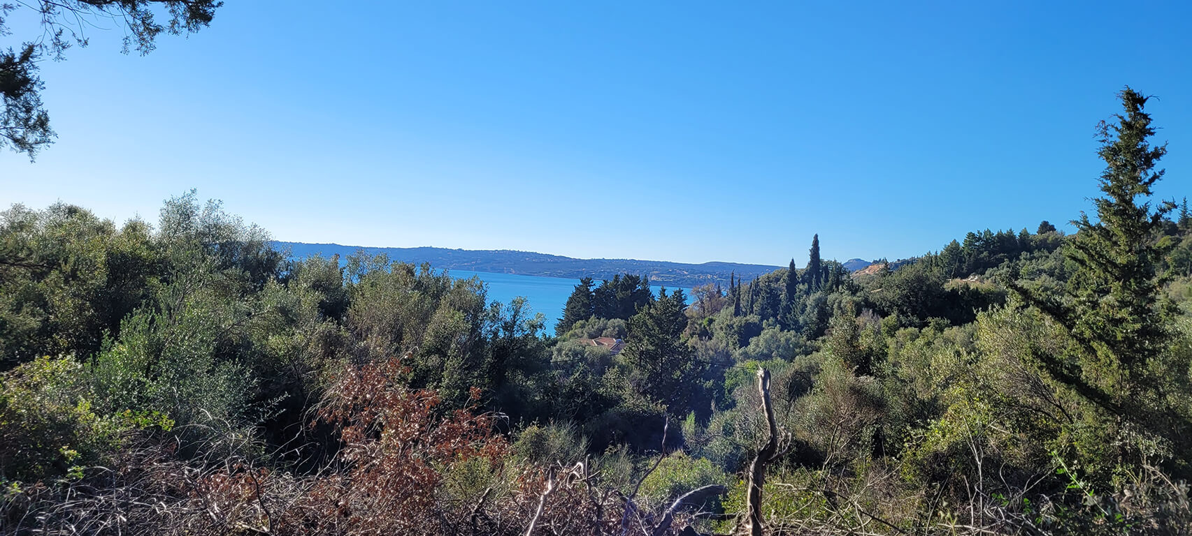 ΑΓΡΟΤΕΜΑΧΙΟ ΣΤΟ ΛΟΥΡΔΑ