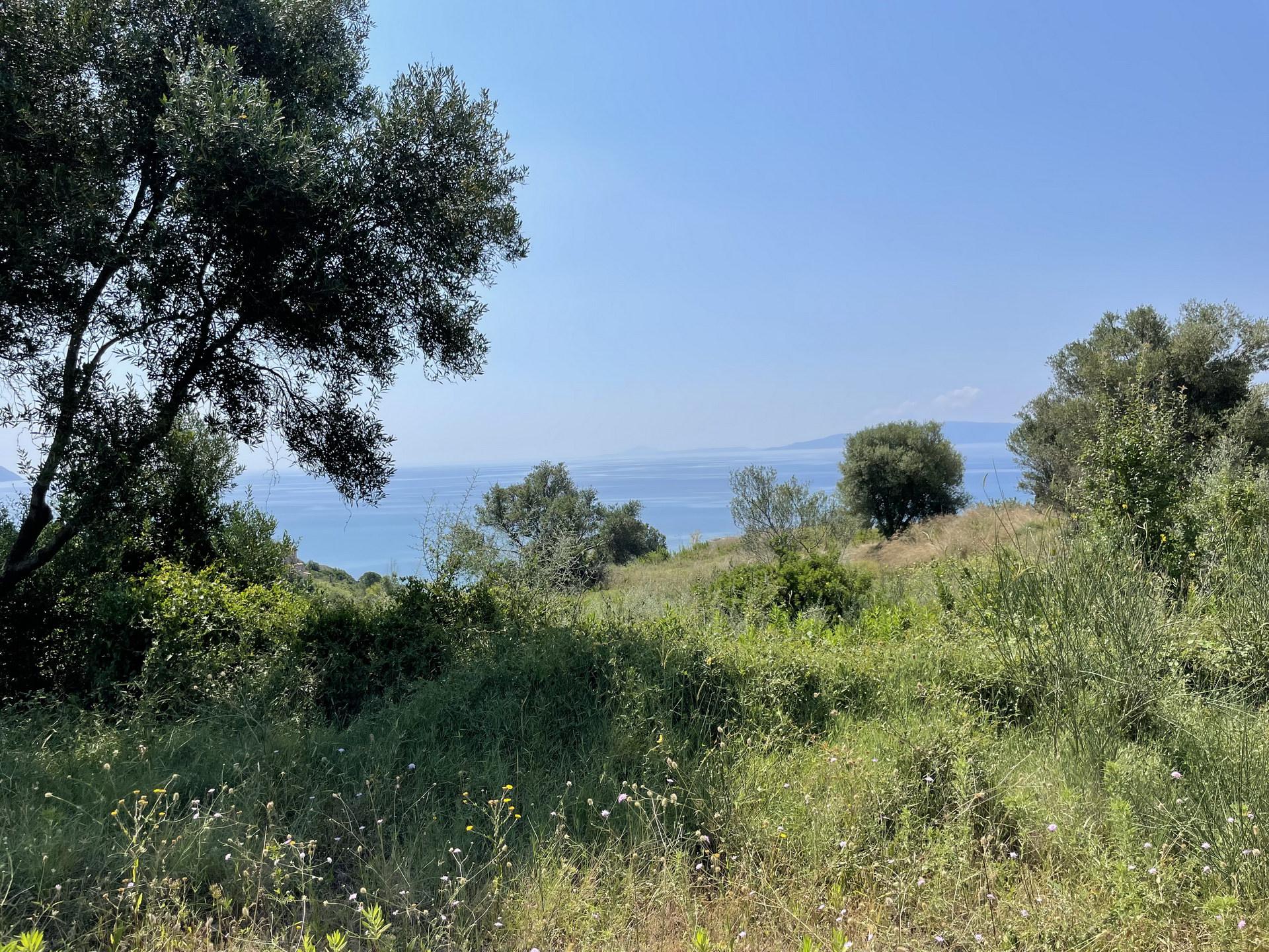 ΑΓΡΟΤΕΜΑΧΙΟ ΣΠΑΡΤΙΑ