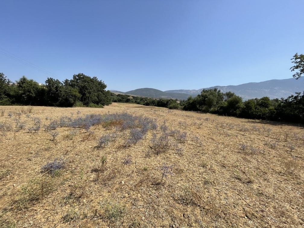 ΑΓΡΟΤΕΜΑΧΙΟ ΚΕΡΑΜΕΙΕΣ 22.000τ.μ