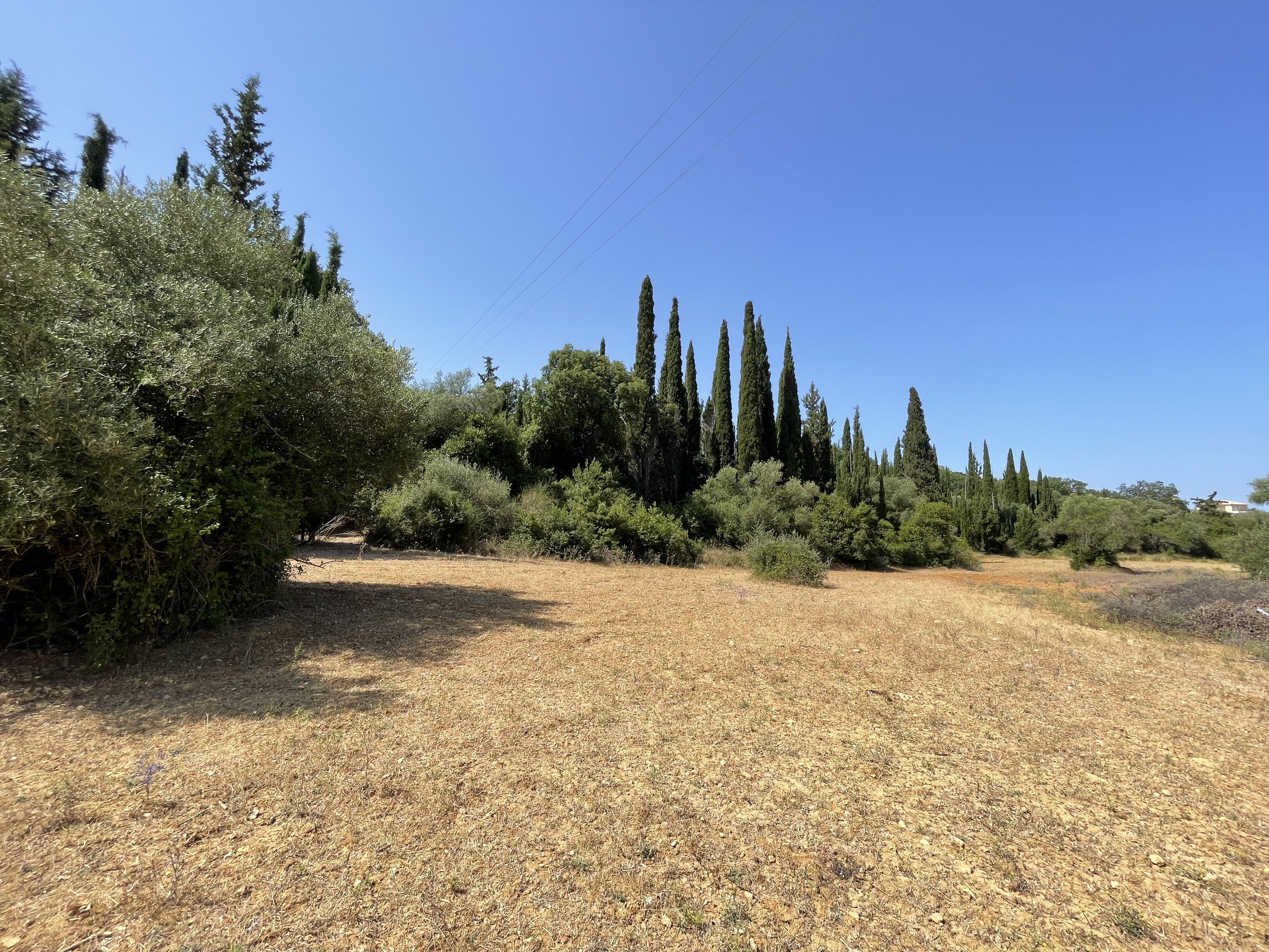 LIVATHOS KERAMEIES AGRICULTURAL 18.500sqm