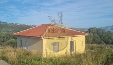 20240329_080528-plot-lakithra.jpg